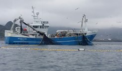 Skagøysund kaster etter makrell